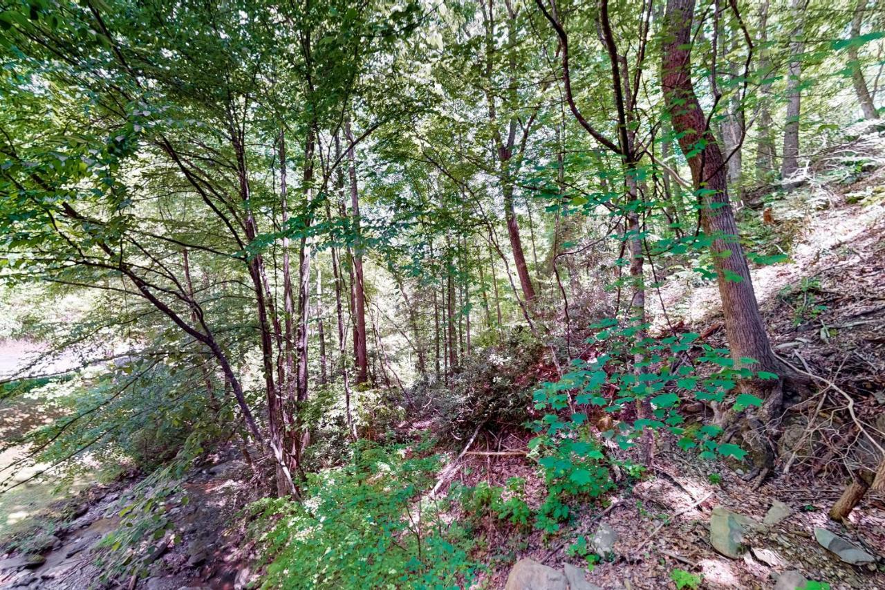 Вілла Hiker'S Hideaway Гатлінбург Номер фото